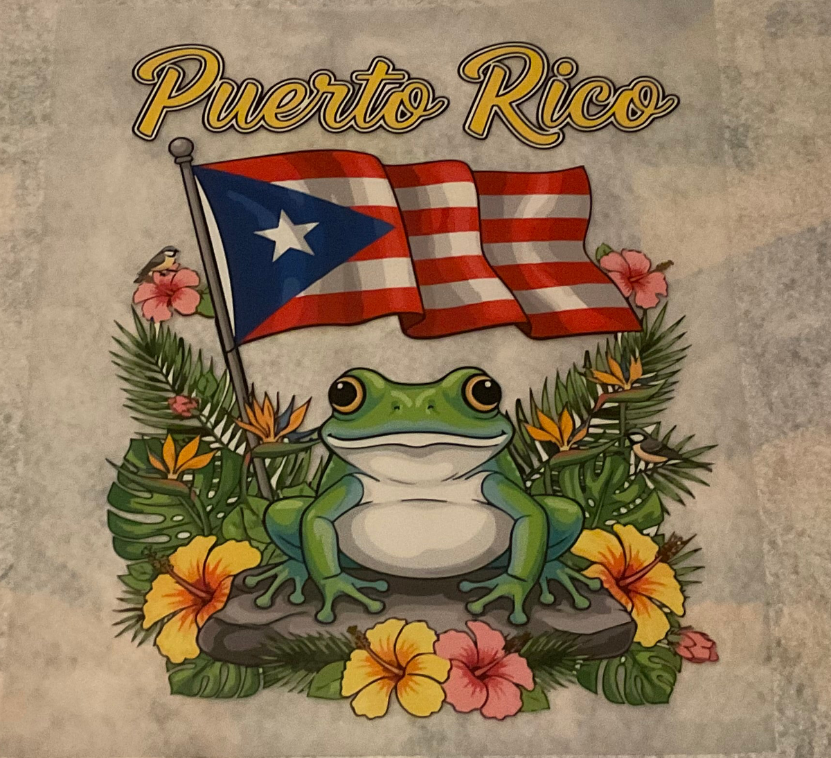 PR Frog