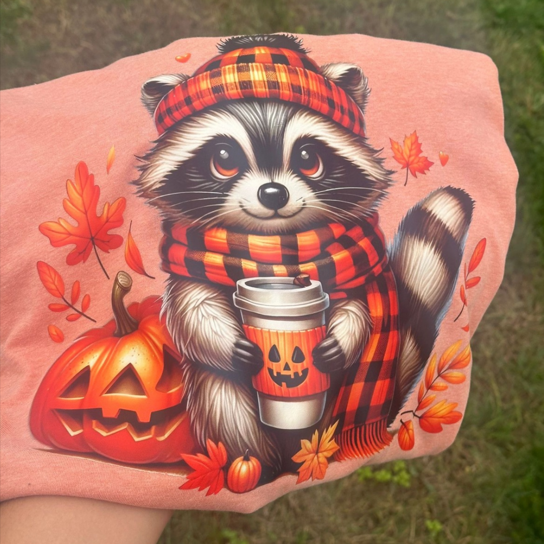 Pumpkin  Raccoon