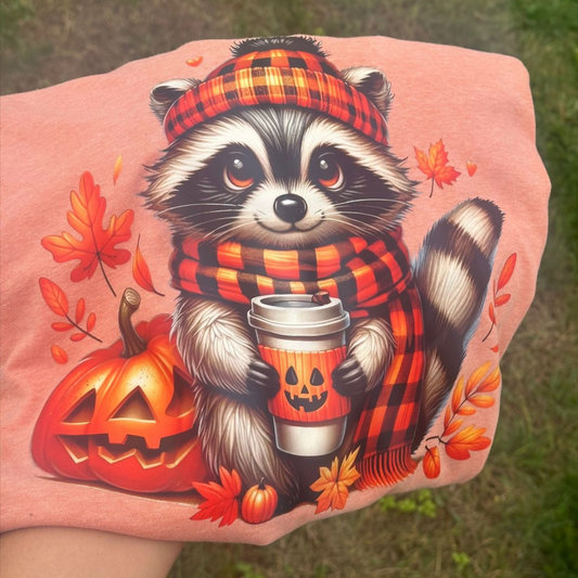 Pumpkin  Raccoon