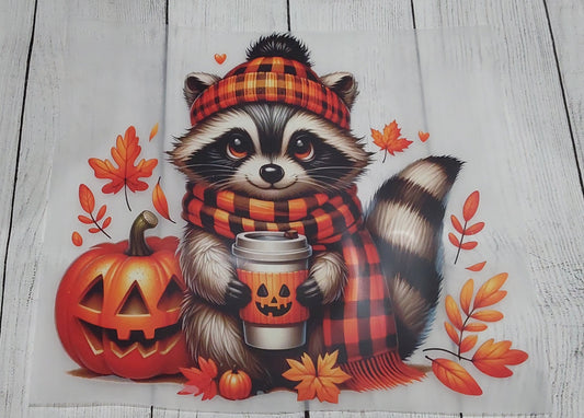 Orange Raccoon